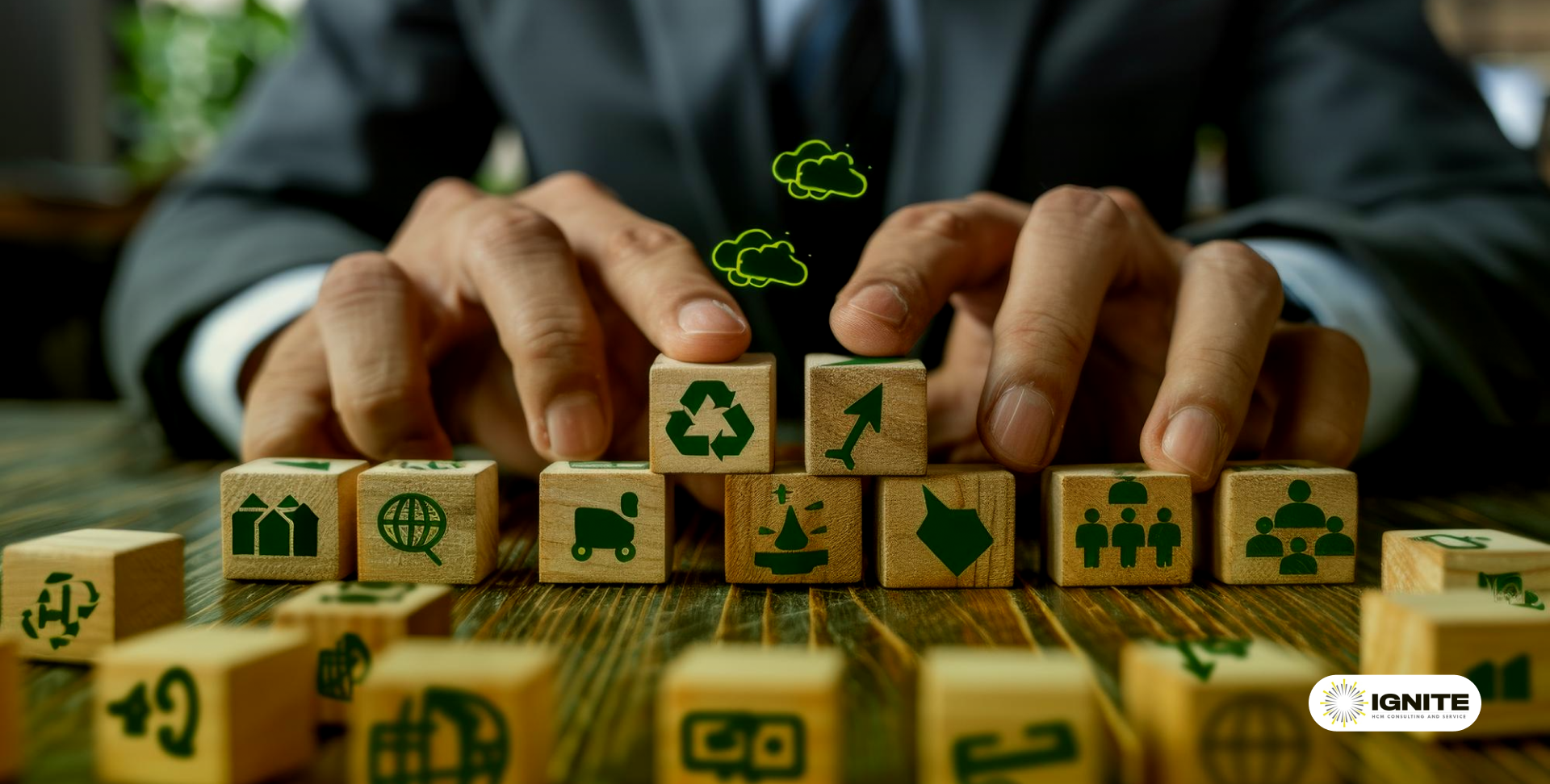 Sustainability and HCM in Practice-1